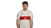 Vfb Stuttgart Football Sticker by Bundesliga