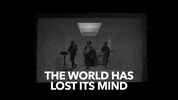 The World Wtf GIF by Larkins