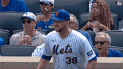 Happy Ny Mets GIF by New York Mets