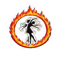 Ring Of Fire Spinning Sticker