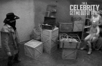 Im A Celebrity Au GIF by I'm A Celebrity... Get Me Out Of Here! Australia