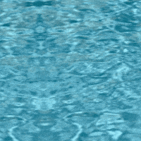 Frogs Swimming GIF by TeaCosyFolk