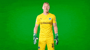 Come On Clap GIF by SpVgg Greuther Fürth