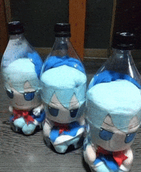 Bottle GIF