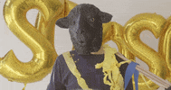 osoosoband party mask costume balloons GIF