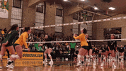 Ndsu Volleyball GIF by NDSU Athletics