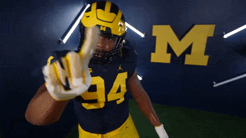 Go Blue College Football GIF by Michigan Athletics