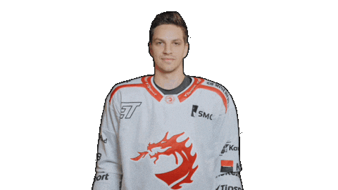 Trinec Sticker by HC Oceláři Třinec