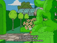 homer simpson GIF