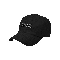 Shop Swag Sticker by SHANE