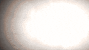 Queen Diva GIF by Rossa Official