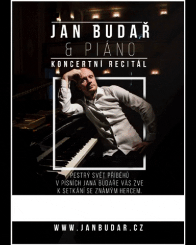 CaidMcLean giphygifmaker concert koncert chanson GIF