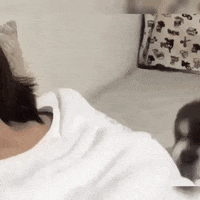 Mood Wow GIF by JustViral