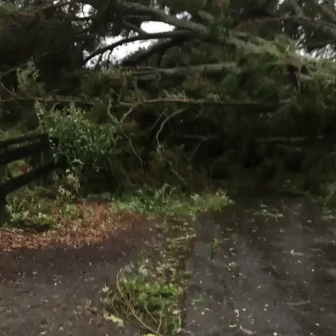 Ex-Cyclone Gita Hits New Zealand's South Island