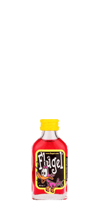 Party Weekend Sticker by FLS Company Nederland N.V.