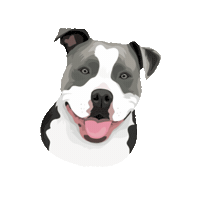 Chanelpp Sticker by Pickle's Pawtraits