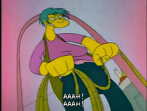 Season 1 Episode 13 GIF by The Simpsons
