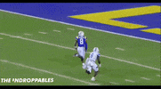 Malik Nabers GIF by The Undroppables