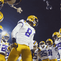 College Football GIF by LSU Tigers