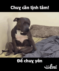 tumy GIF by Lozi Singapore Co.