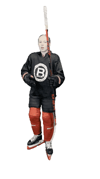 Hockey Sticker by ledoritulys.lt