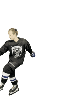 Hockey Sticker by ledoritulys.lt