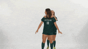 Huntington University GIF by FDN Sports