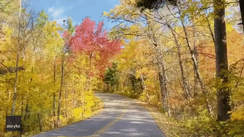 Road Trip Takes in Fall Colors at Itasca State Park, Minnesota