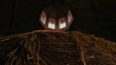 50 States Of Fright GIF by The Roku Channel