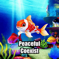 Peace Harmony GIF by TheConfishius
