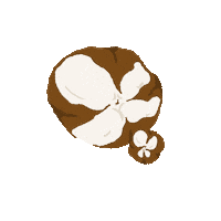 elleairelis rest forrest 꽃 일상 Sticker
