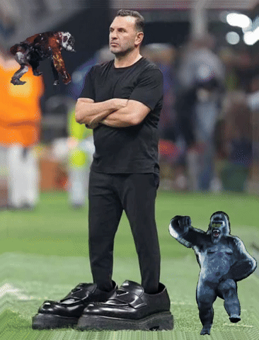 Hashonor giphyattribution giphycreatortest galatasaray fenerbahçe GIF