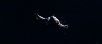 Nals GIF by Ella Mai