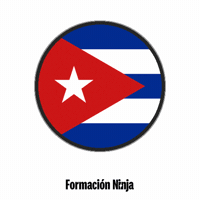 Flag Bandera GIF by Formación Ninja