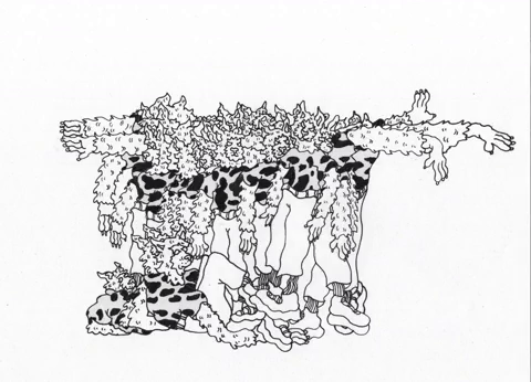 Cow shirt crowd shirt