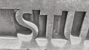Studies GIF by McGill University Library