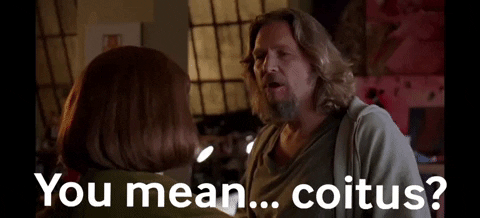 beardyblue you mean coitus GIF
