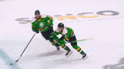 Toronto Maple Leafs Hockey GIF by London Knights