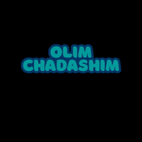 Welcome Home Israel GIF by Nefesh B'Nefesh