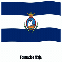 Flag Spain GIF by Formación Ninja
