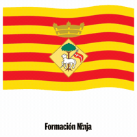Flag Barcelona GIF by Formación Ninja