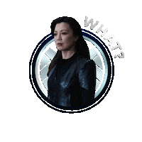 Agents Of Shield What Sticker by ABC Network
