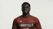 University Of Louisville Yes GIF by Louisville Cardinals