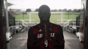 University Of Louisville Go Cards GIF by Louisville Cardinals