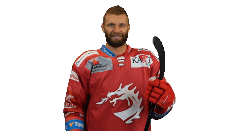 Hockey Stick Smile Sticker by HC Oceláři Třinec