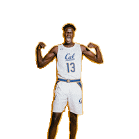 Ncaa Basketball Sticker by Cal Athletics