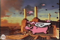 Ncaa Sports GIF by Ohio State Athletics