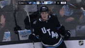 Happy Celebration GIF by NHL