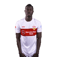 Scream Omg Sticker by VfB Stuttgart