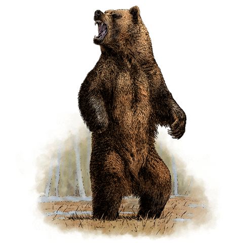 red dead redemption bear Sticker by Rockstar Games